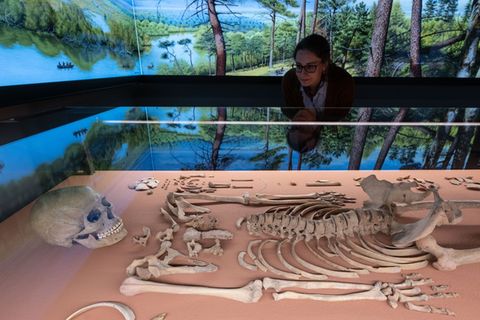 Die Gebeine der Schamanin von Bad Dürrenberg gelten als einer der wichtigsten Funde der mitteleuropäischen Archäologie. (Archivb