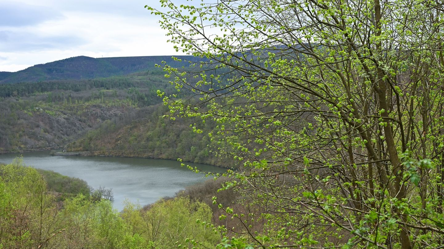 In Nationalparks wie dem Kellerwald ist der Mobilfunk-Ausbau laut Ministerium besonders aufwendig (Symbolbild) Foto: Uwe Zucchi/