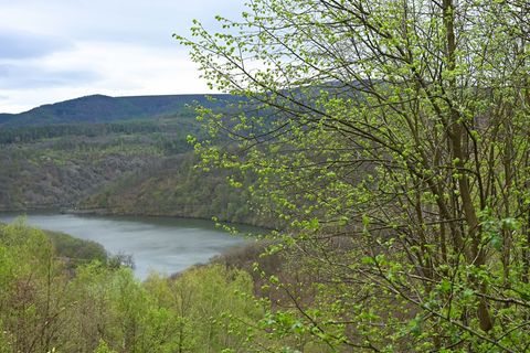 In Nationalparks wie dem Kellerwald ist der Mobilfunk-Ausbau laut Ministerium besonders aufwendig (Symbolbild) Foto: Uwe Zucchi/