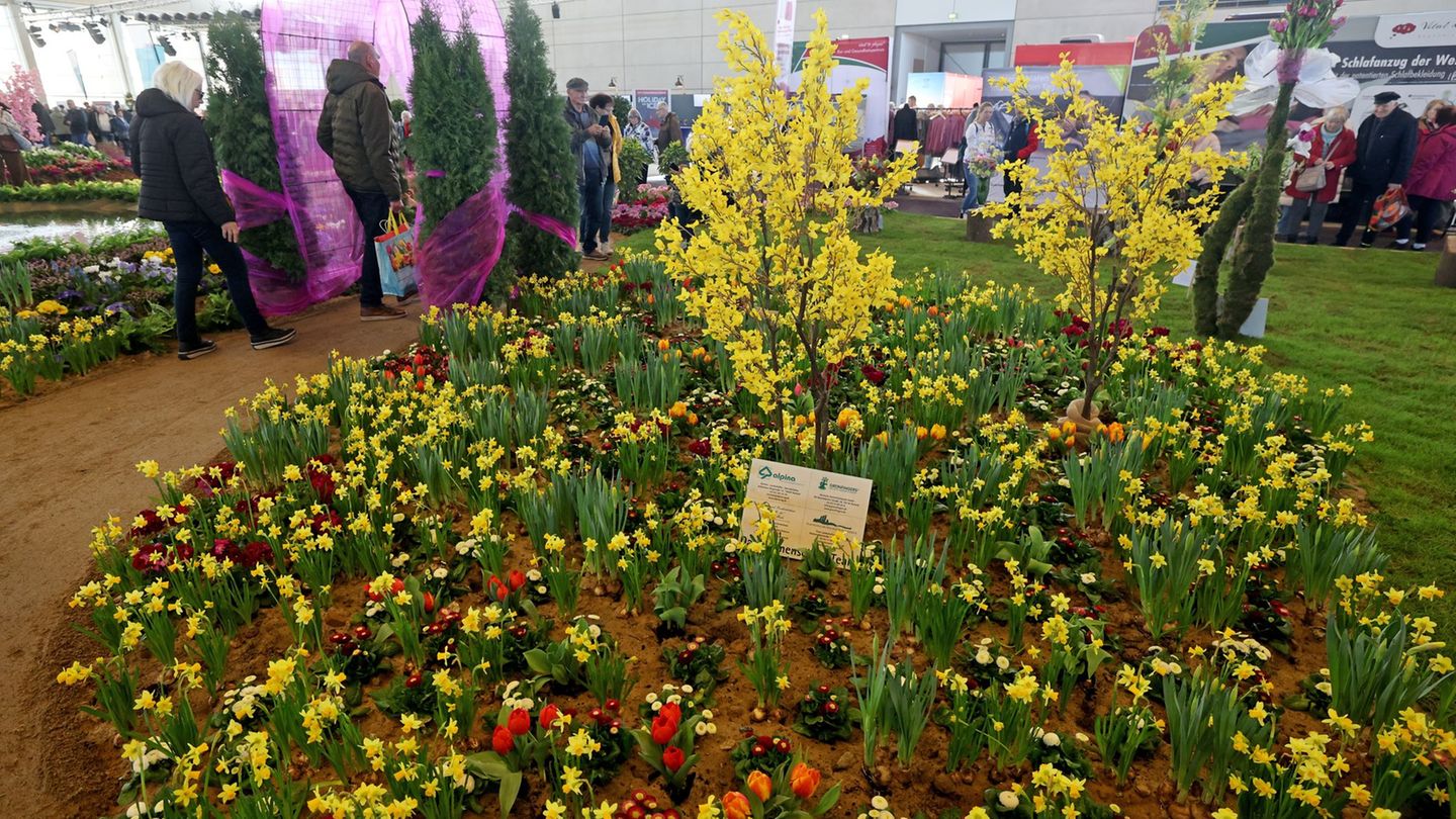 Die Blumenschau ist ein Besuchermagnet der Ostseemesse. Foto: Bernd Wüstneck/dpa
