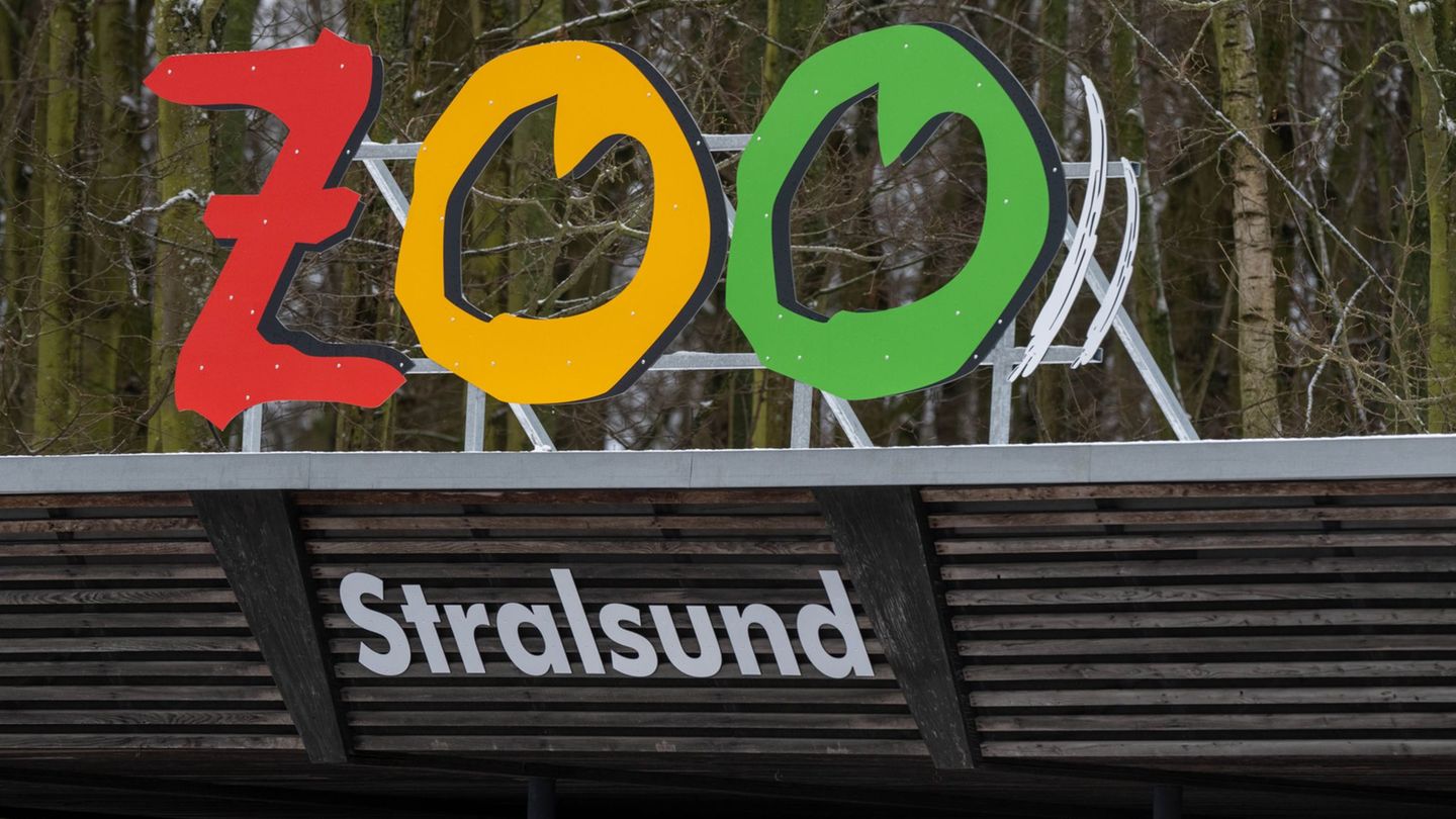 Auf Anweisung des Veterinäramtes des Landkreises Vorpommern-Rügen bleibt der Zoo Stralsund am Donnerstag und Freitag für Besuche