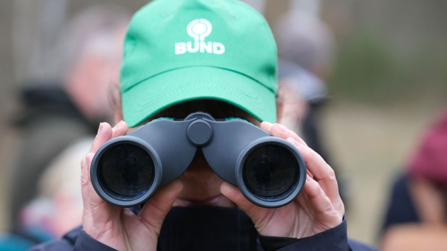 Umweltschutz: BUND Sachsen für weniger Bürokratie beim Schutz der Natur