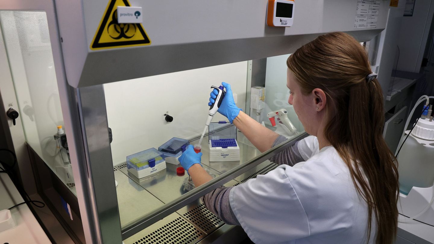 An "Elaine"-Projekt sind 80 Forscherinnen und Forscher an der Universitätsmedizin Rostock beteiligt. Foto: Bernd Wüstneck/dpa