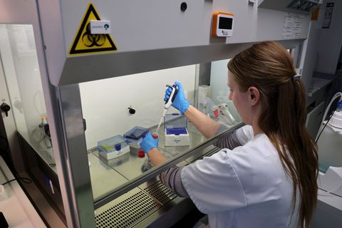 An "Elaine"-Projekt sind 80 Forscherinnen und Forscher an der Universitätsmedizin Rostock beteiligt. Foto: Bernd Wüstneck/dpa