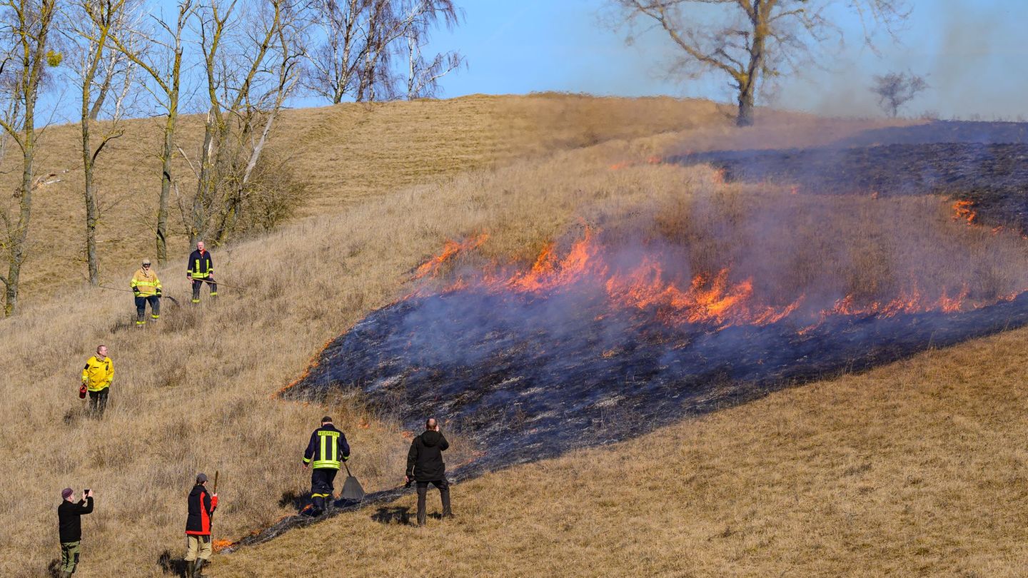 Das kontrollierte Feuer entfernt abgestorbenes Gras aus dem Vorjahr und schafft wieder Licht für Pflanzen. Foto: Patrick Pleul/d