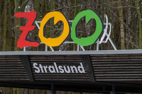 Auf Anweisung des Veterinäramtes des Landkreises Vorpommern-Rügen bleibt der Zoo Stralsund zwei Tage geschlossen. (Archivbild) F