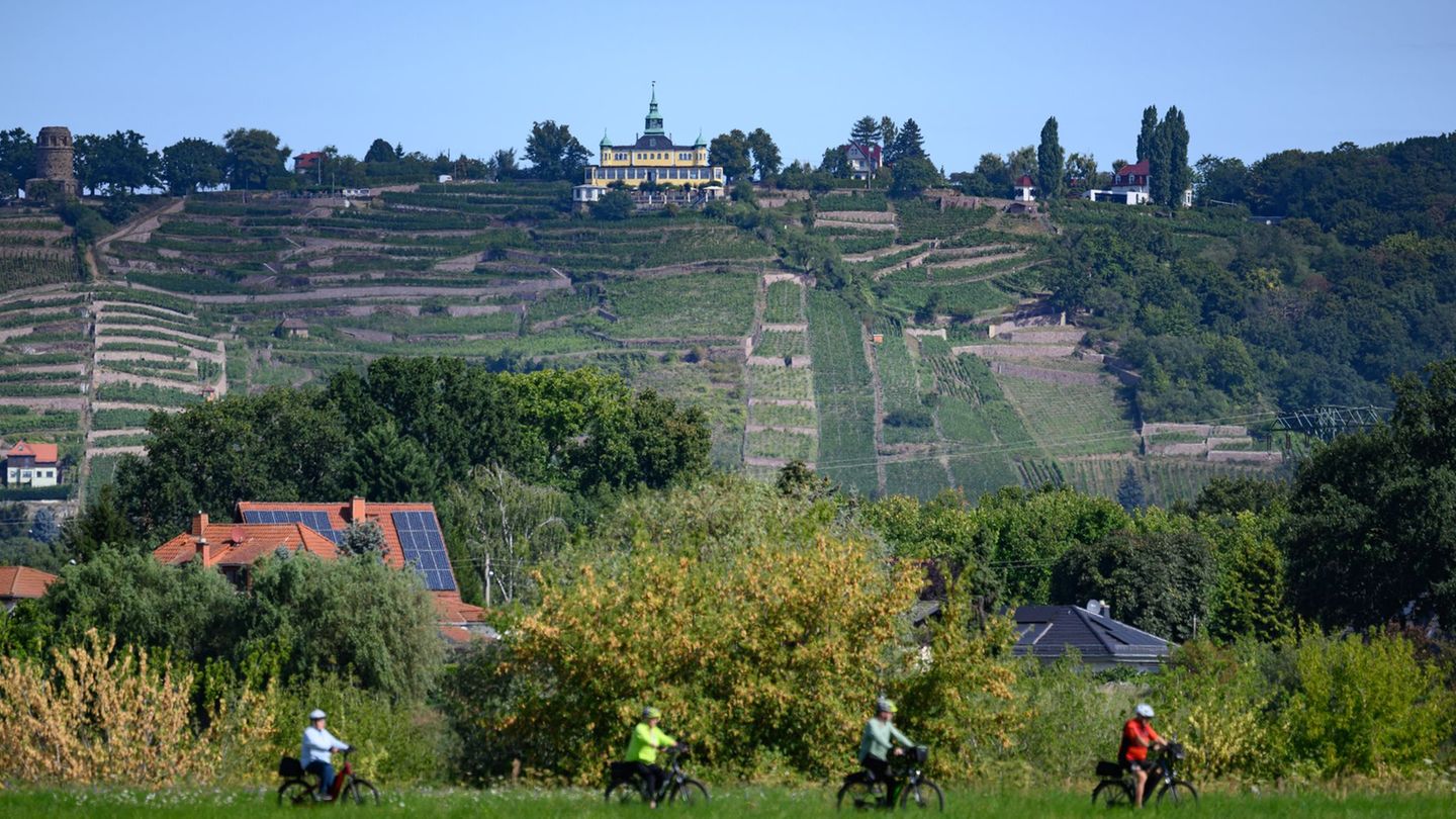 Der Elberadweg ist laut einer Online-Umfrage Deutschlands beliebtester Radfernweg. (Archivbild) Foto: Robert Michael/dpa