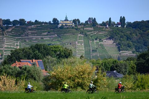 Der Elberadweg ist laut einer Online-Umfrage Deutschlands beliebtester Radfernweg. (Archivbild) Foto: Robert Michael/dpa