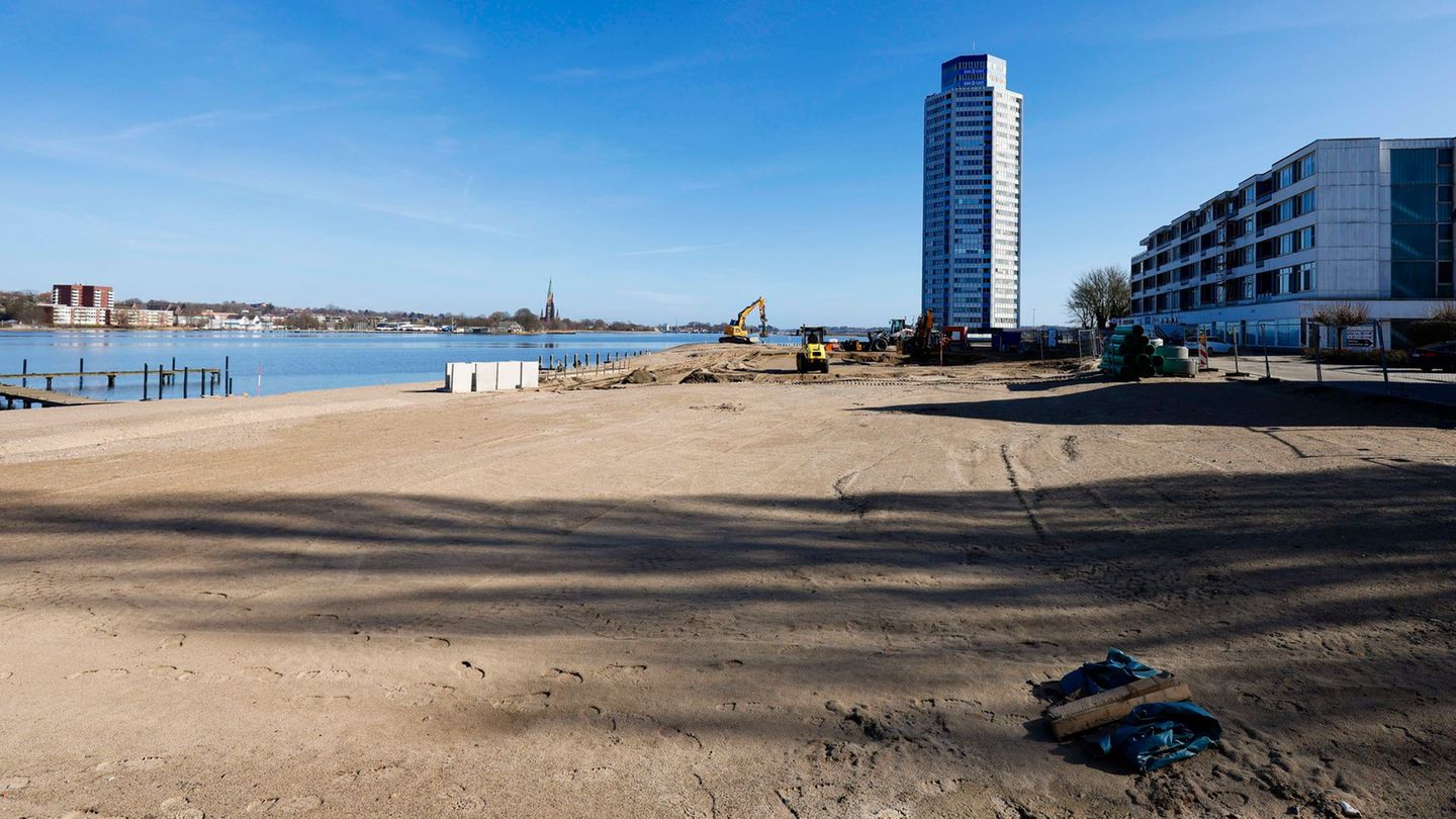 Bund und Kreis streiten vor Gericht über die Kostenübernahme der Sanierung von Flächen am Wikingeck. Foto: Frank Molter/dpa