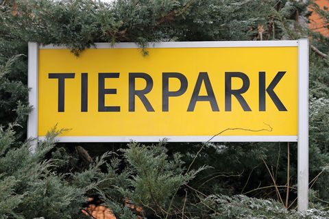 Alle Nachtestungen der Vogelarten zur Vogelgrippe waren negativ. (Symbolbild) Foto: Jan Woitas/dpa-Zentralbild/dpa