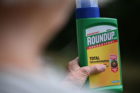 Eine Frau hält eine alte Packung des Unkrautvernichters Glyphosat in den Händen, hier die Produktausgabe für Deutschland und Öst