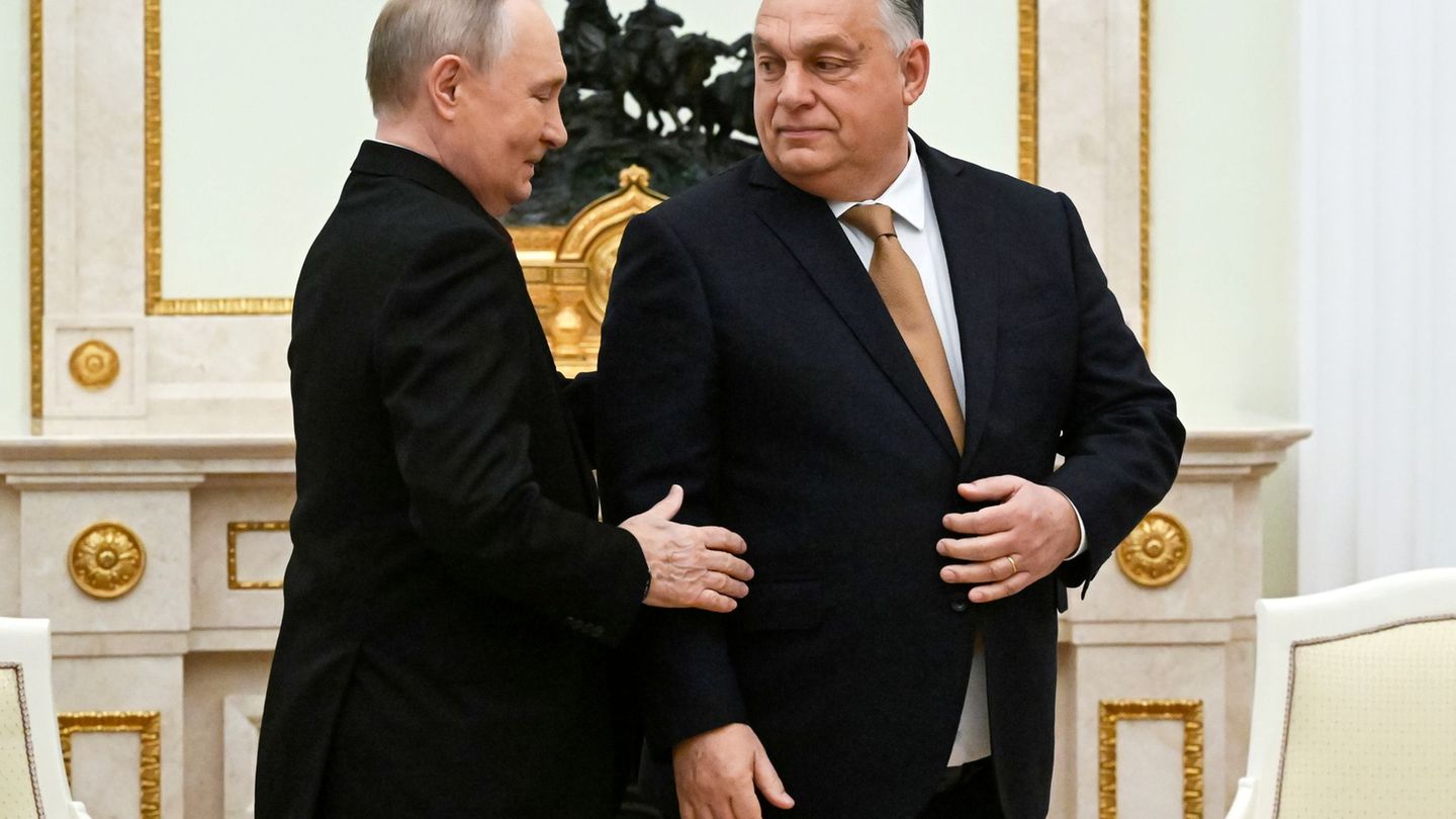 Kremlchef Wladimir Putin lässt auf Bitte des ungarischen Ministerpräsidenten Viktor Orban zwei Kriegsgefangene frei. (Archivbild