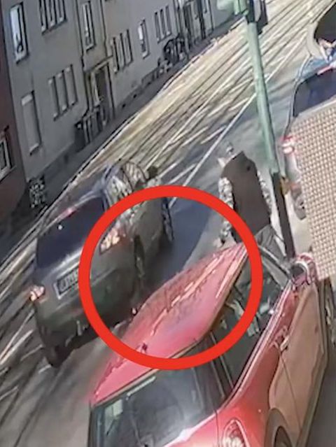 Auto erfasst Hund in Essen tödlich und flieht