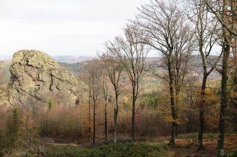 Die riesigen Felsen in Olsberg-Bruchhausen zogen schon vor Jahrtausenden Menschen an. Foto: Larissa Loges/dpa-tmn