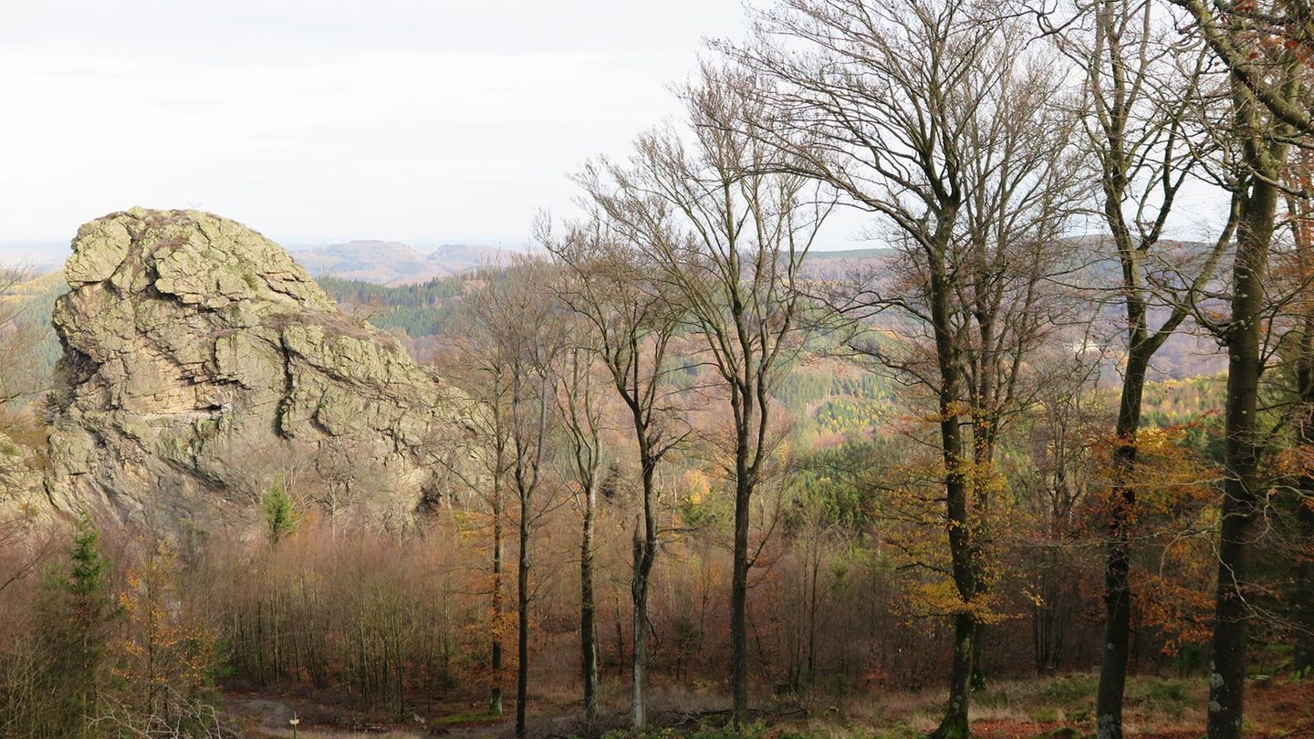 Die riesigen Felsen in Olsberg-Bruchhausen zogen schon vor Jahrtausenden Menschen an. Foto: Larissa Loges/dpa-tmn