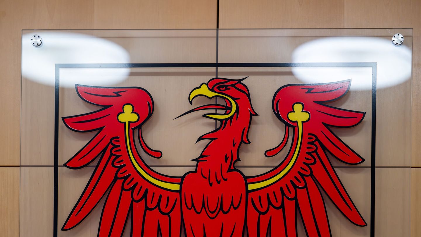 Ein 35-jähriger Mann steht am Donnerstag vor dem Landgericht in Neuruppin. (Symbolbild) Foto: Soeren Stache/dpa