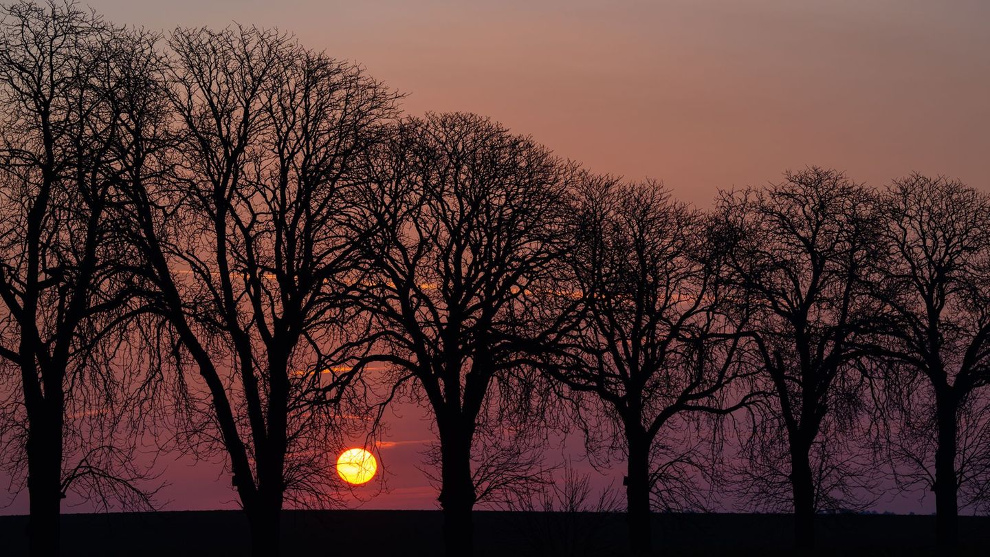 Wetter: Frostige Nächte, milde Tage in Berlin und Brandenburg