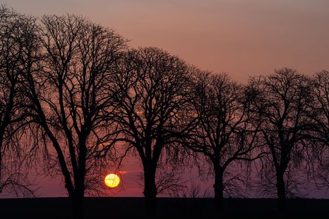 Am Tag lautet die Prognose: Sonnenschein und frühlingshafte Temperaturen. Foto: Patrick Pleul/dpa