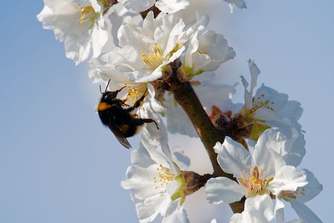 Heiter bis sonnig lautet auch die Vorhersage für die kommenden Tage. (Archivbild) Foto: Uwe Anspach/dpa