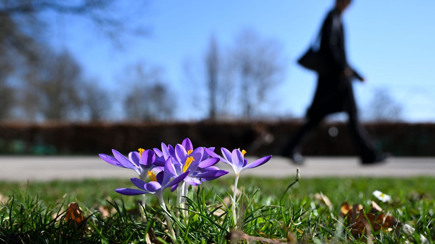Wettervorhersage: Es bleibt sehr mild - am Wochenende 20 Grad möglich