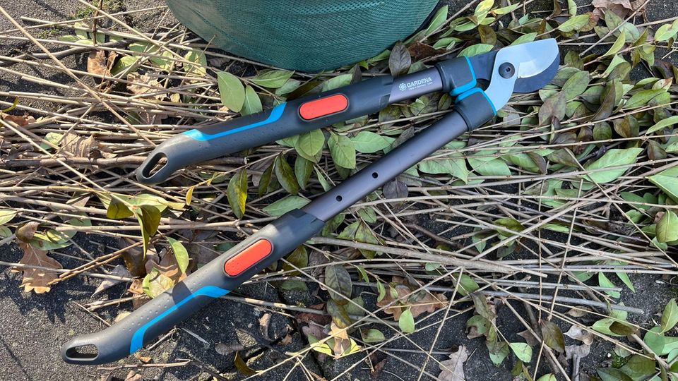 Gardena Astschere TeleCut Pro S