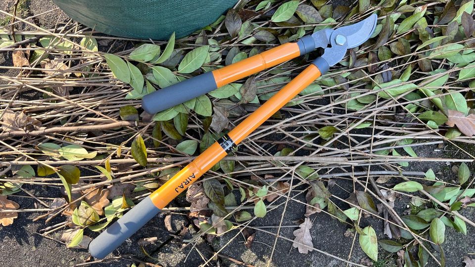 AIRAJ Teleskop Bypass Astschere