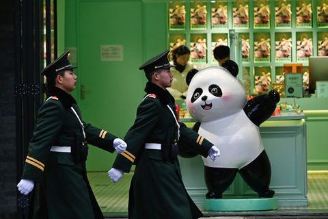 Großer Panda