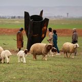 Hirtenjungen im syrischen Qamishli begutachten eine iranische Rakete