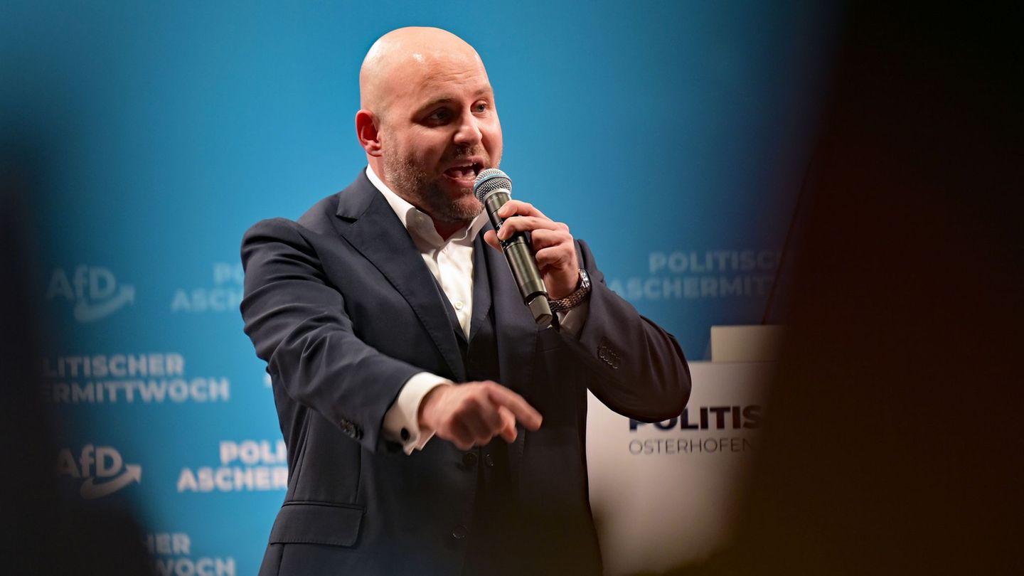 Frohnmaier tritt als Spitzenkandidat der AfD im Südwesten an. Foto: Malin Wunderlich/dpa