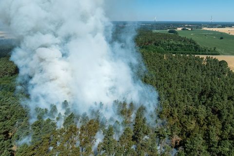 Brandenburg kämpft jedes Jahr mit hunderten Feuern im Wald. (Archivbild) Foto: Frank Hammerschmidt/dpa