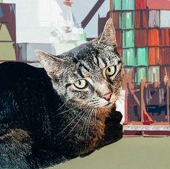 Serie: Fell, Chaos, Liebe: Wie Kater Klaus den größten Hafen Europas unsicher machte