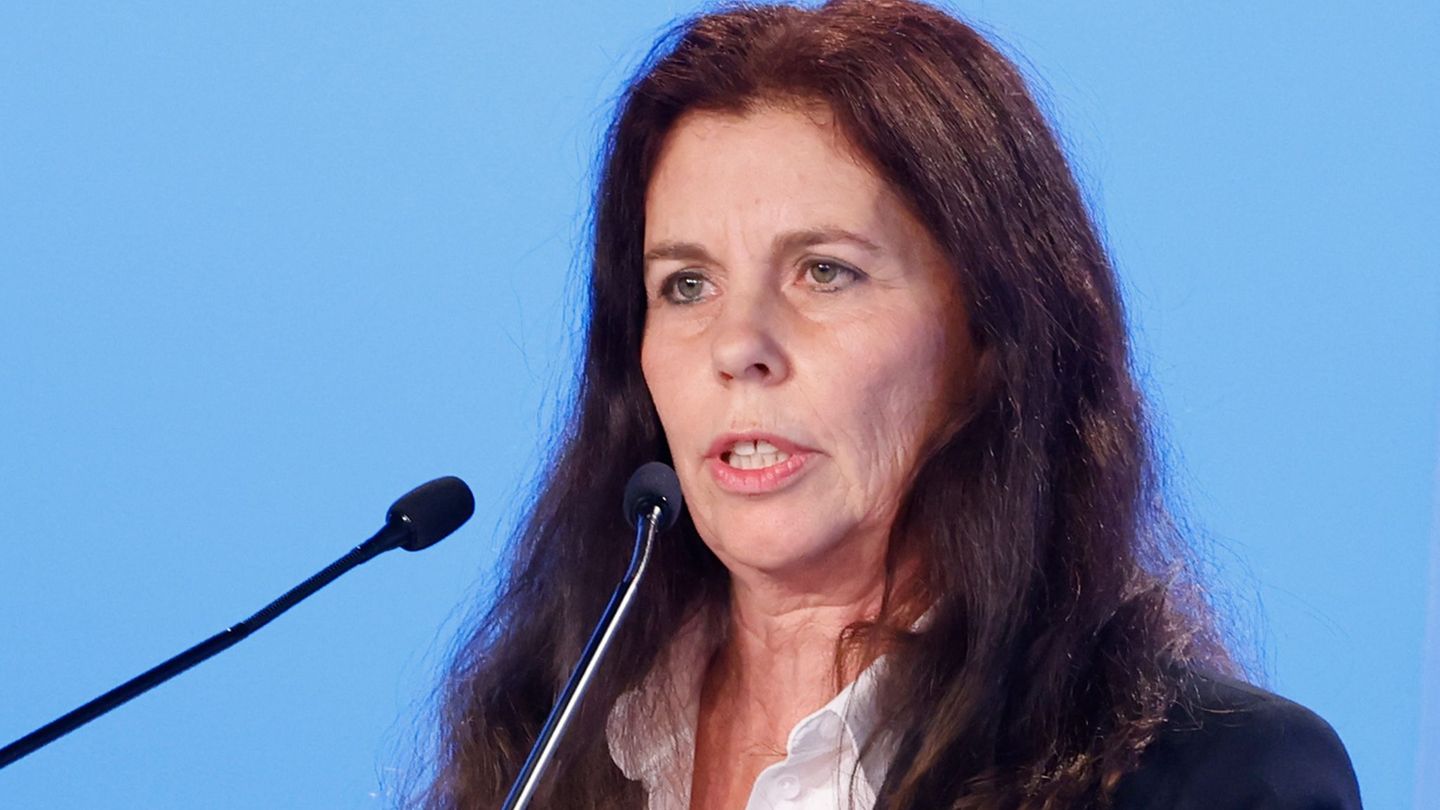 Die Europaabgeordnete Arndt hatte schwere Vorwürfe gegen die AfD-Spitze in Niedersachsen erhoben. (Archivbild) Foto: Carsten Koa