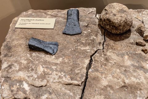 Forscher des Landschaftsverbandes Westfalen-Lippe haben ihre Entdeckungen der Öffentlichkeit vorgestellt. Foto: Dieter Menne/dpa