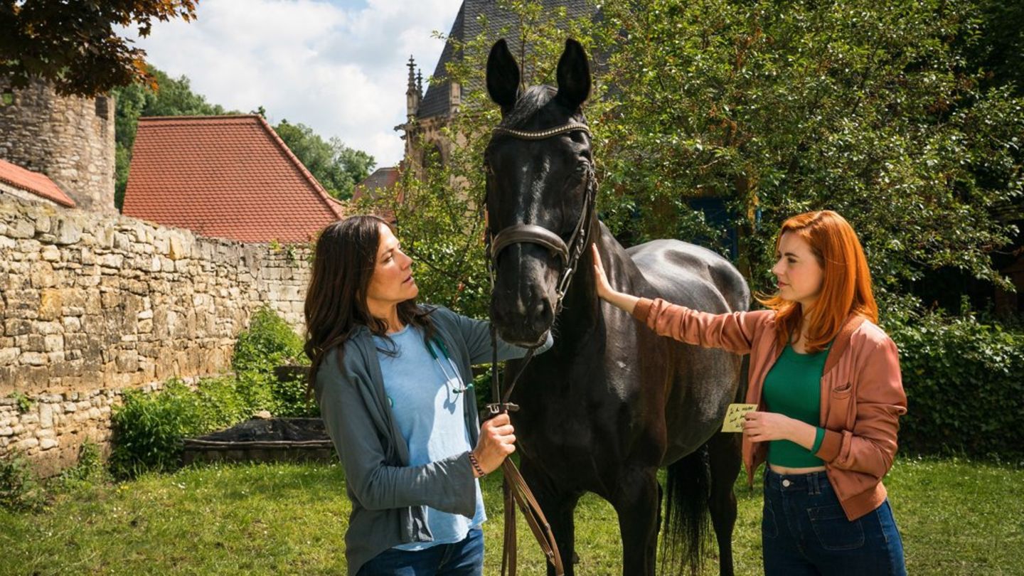 Vorschau: TV-Tipps am Freitag