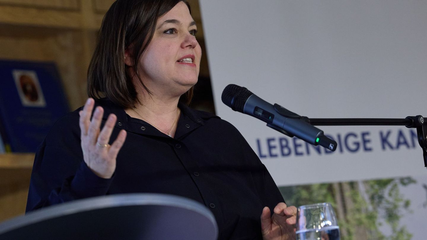 Energieversorgung: Fegebank: Gas und Öl nie wieder verlässliche Energieträger