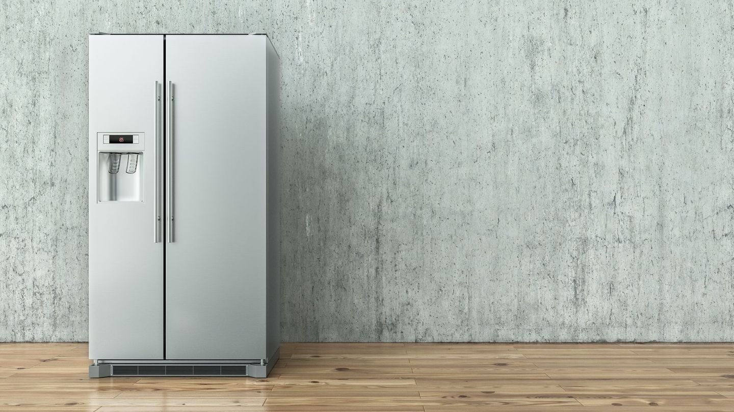 Welche Kühlschrank-Art nutzen Sie?