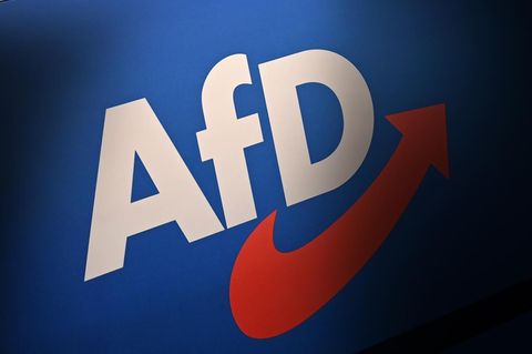 AfD Symbolbild 2