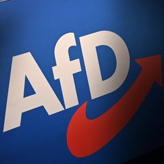 AfD Symbolbild 2