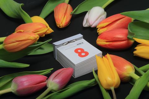 Frauen stellen in Sachsen-Anhalt etwas mehr als die Hälfte der Bevölkerung (Symbolbild) Foto: picture alliance / dpa
