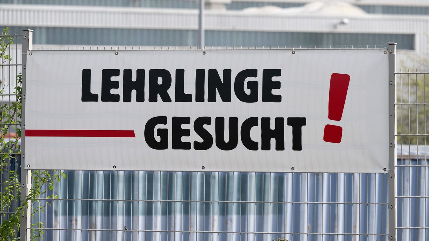 Auch wegen des demografischen Wandels setzt das sächsische Handwerk zunehmend auf Auszubildende aus dem Ausland. (Archivbild) Fo