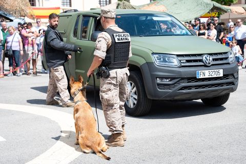 Der VW Amarok im Einsatz des spanischen Militärs (Symbolbild)