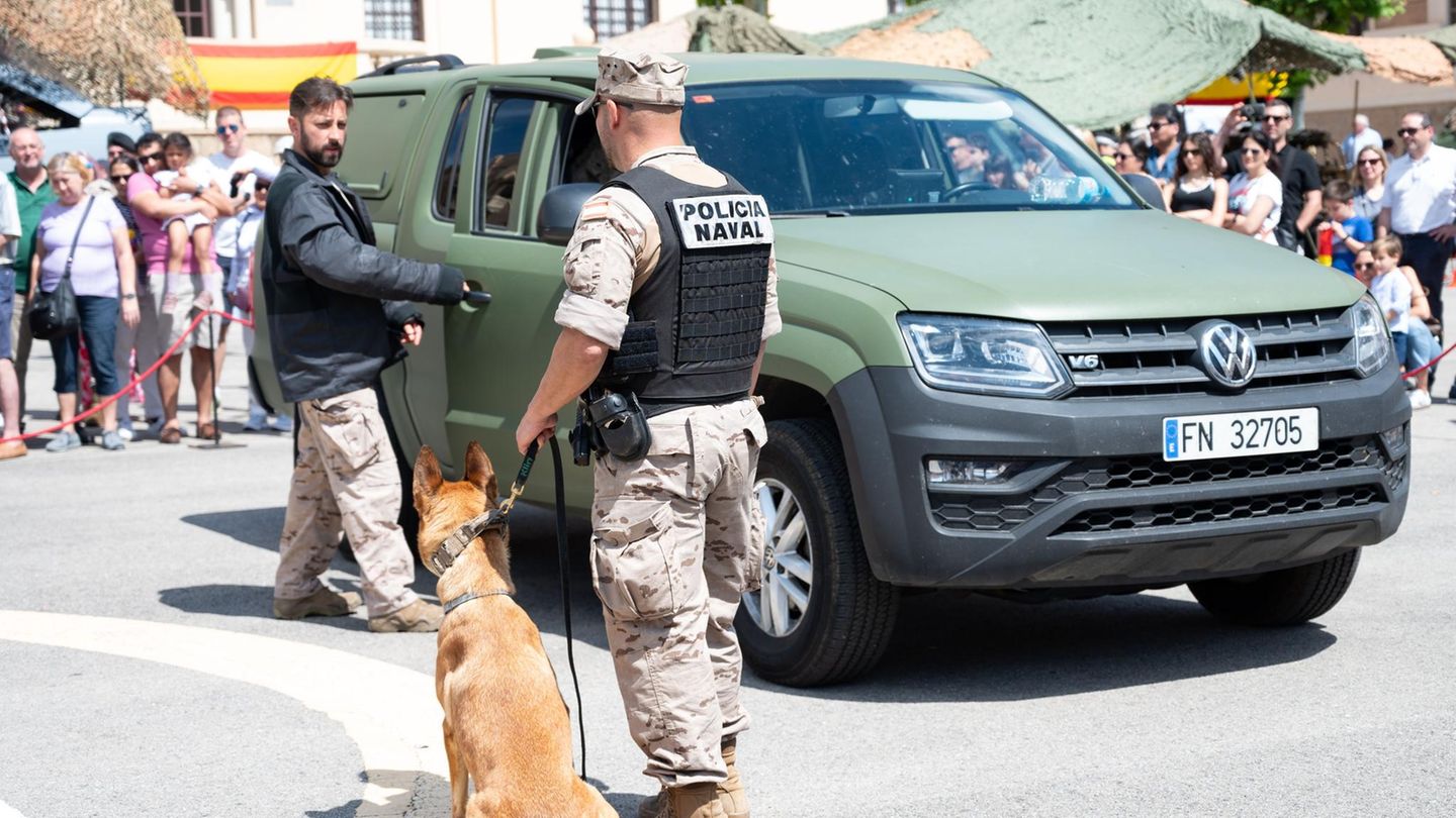 Autohersteller: Wie VW-Ingenieure heimlich zwei Militär-Prototypen bauten