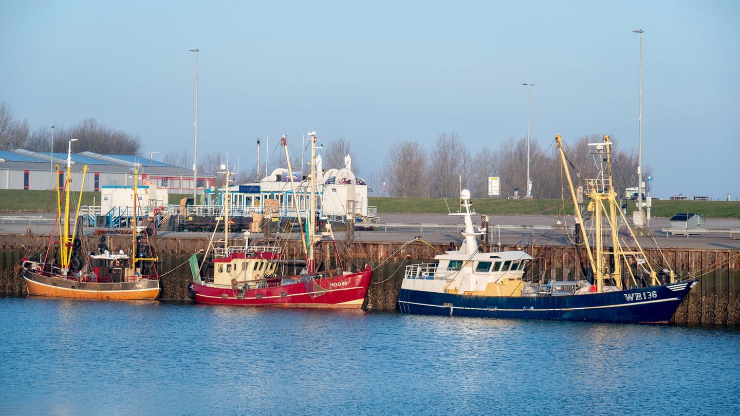 Einen blauen Himmel werden am Wochenende wohl viele Menschen in Niedersachsen sehen. Foto: Hauke-Christian Dittrich/dpa