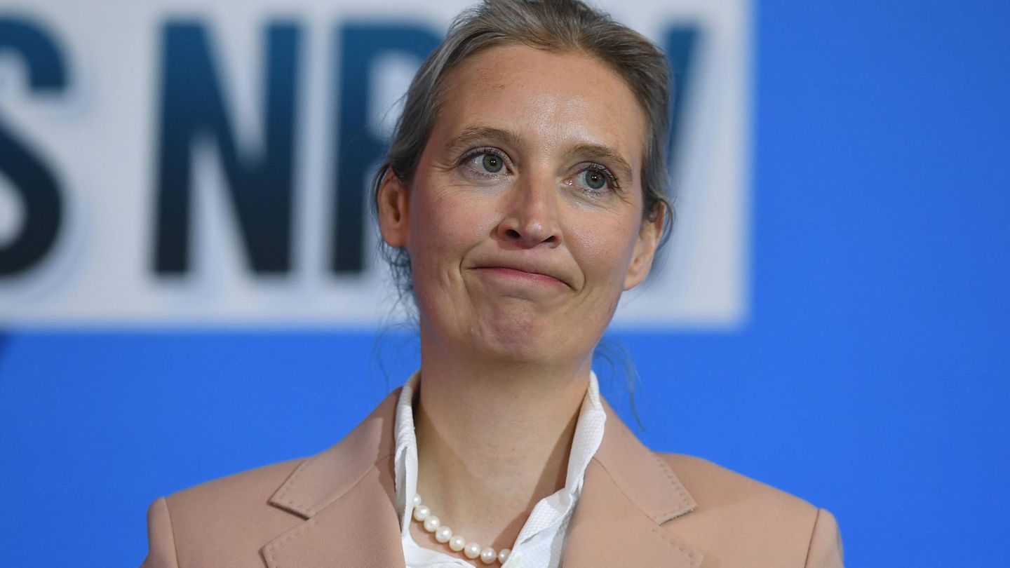 AfD-Chefin Alice Weidel