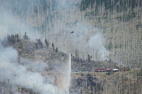 Brandbekämpfung in borkenkäfergeschädigtem Wald