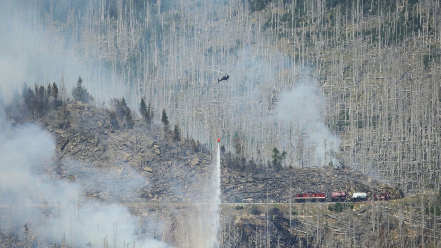Brandbekämpfung in borkenkäfergeschädigtem Wald