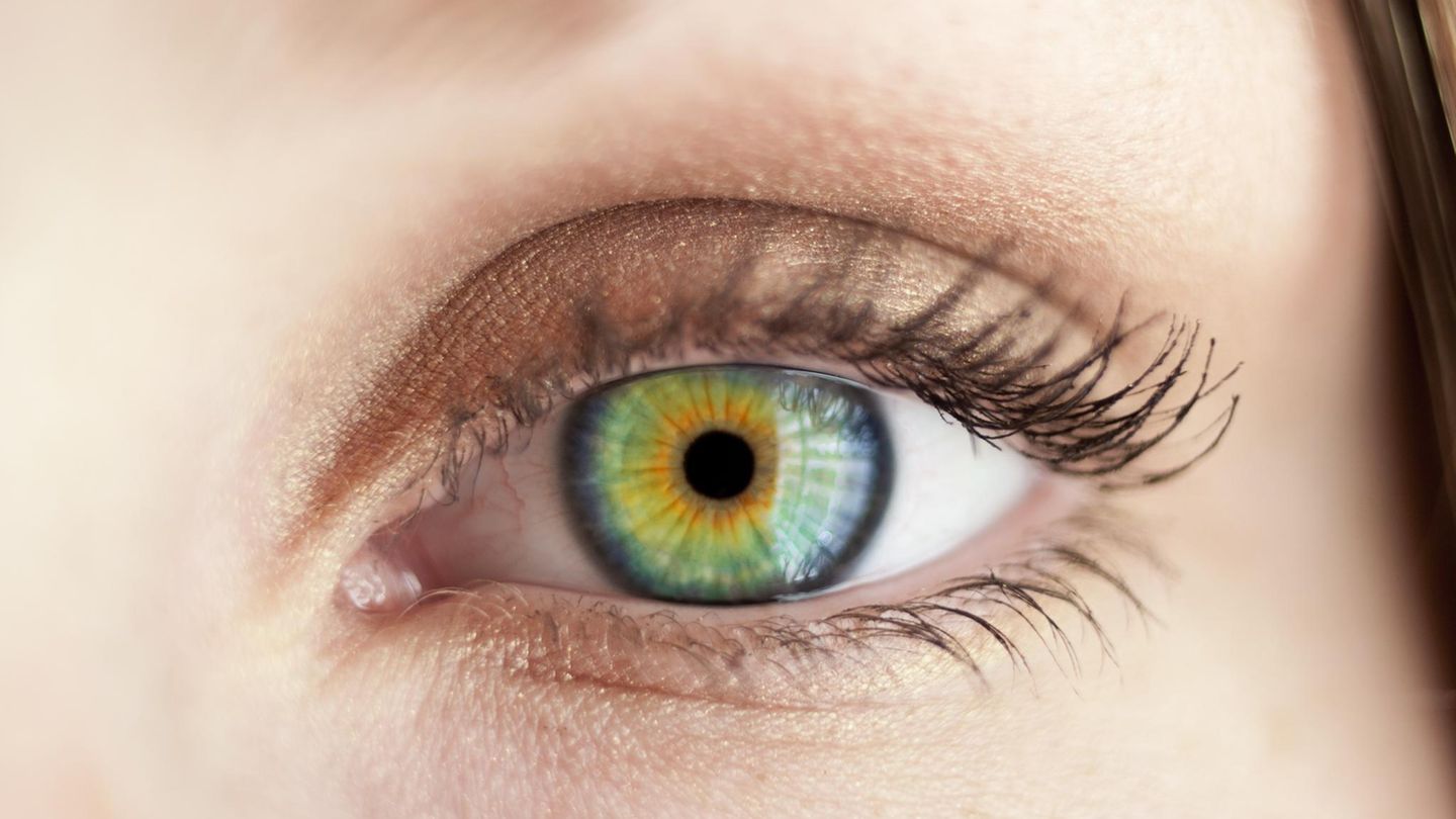 Überraschende Fakten: Zehn Dinge, die Sie noch nicht über Ihre Augen wussten