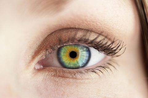 Die farbige Iris im Auge, auch Regenbogenhaut genannt, ist bei jedem Menschen so einzigartig wie sein Fingerabdruck. Diese Besonderheit gilt übrigens auch für die Zunge. 