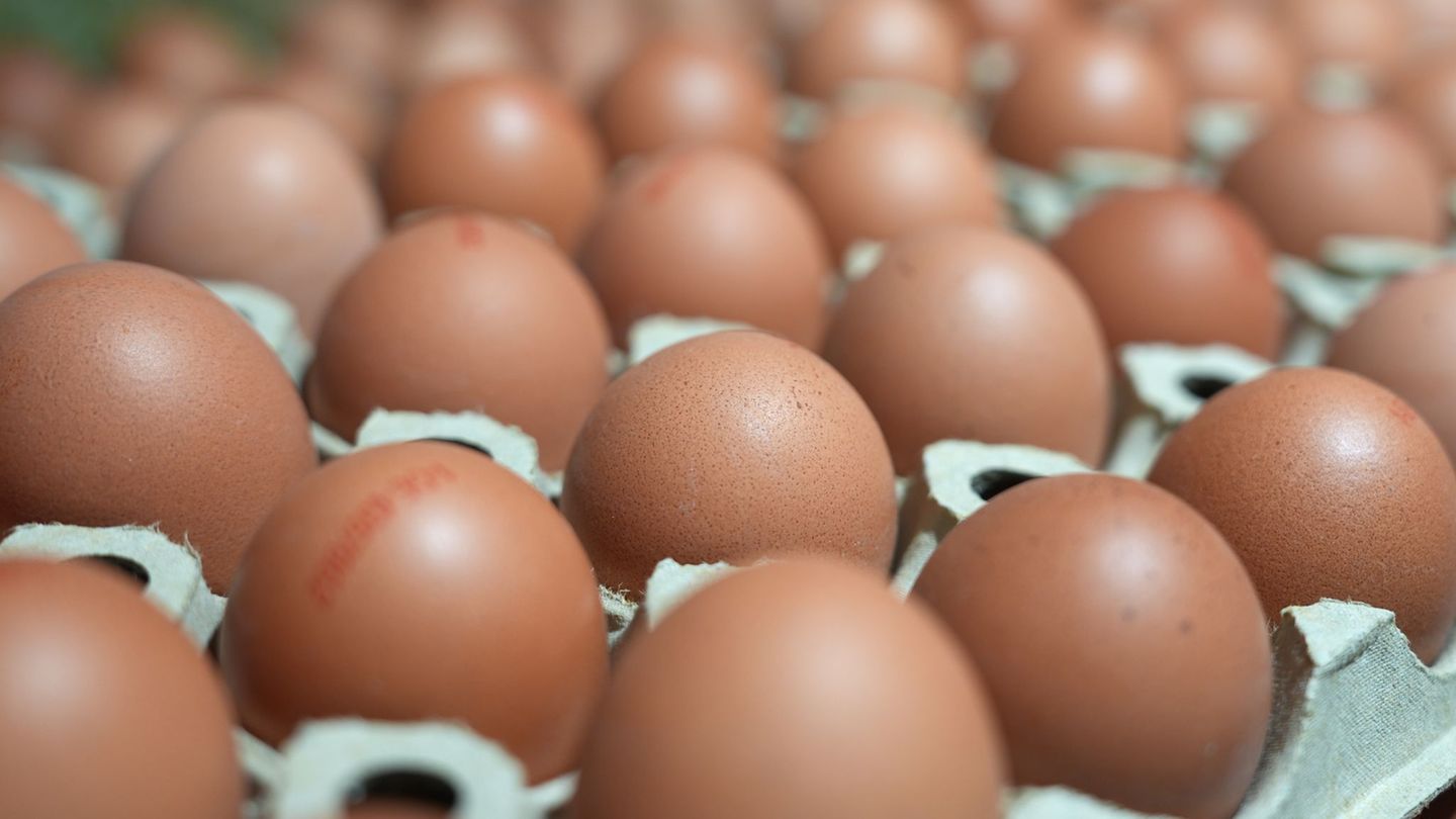 Die Vogelgrippe trifft viele Geflügelbestände. Die Eierpreise im Handel sollen vor Ostern dennoch stabil bleiben. (Symbolbild) F