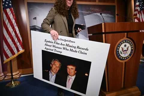 Plakat mit Foto von Jeffrey Epstein und Donald Trump